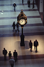 Placeholder   Image